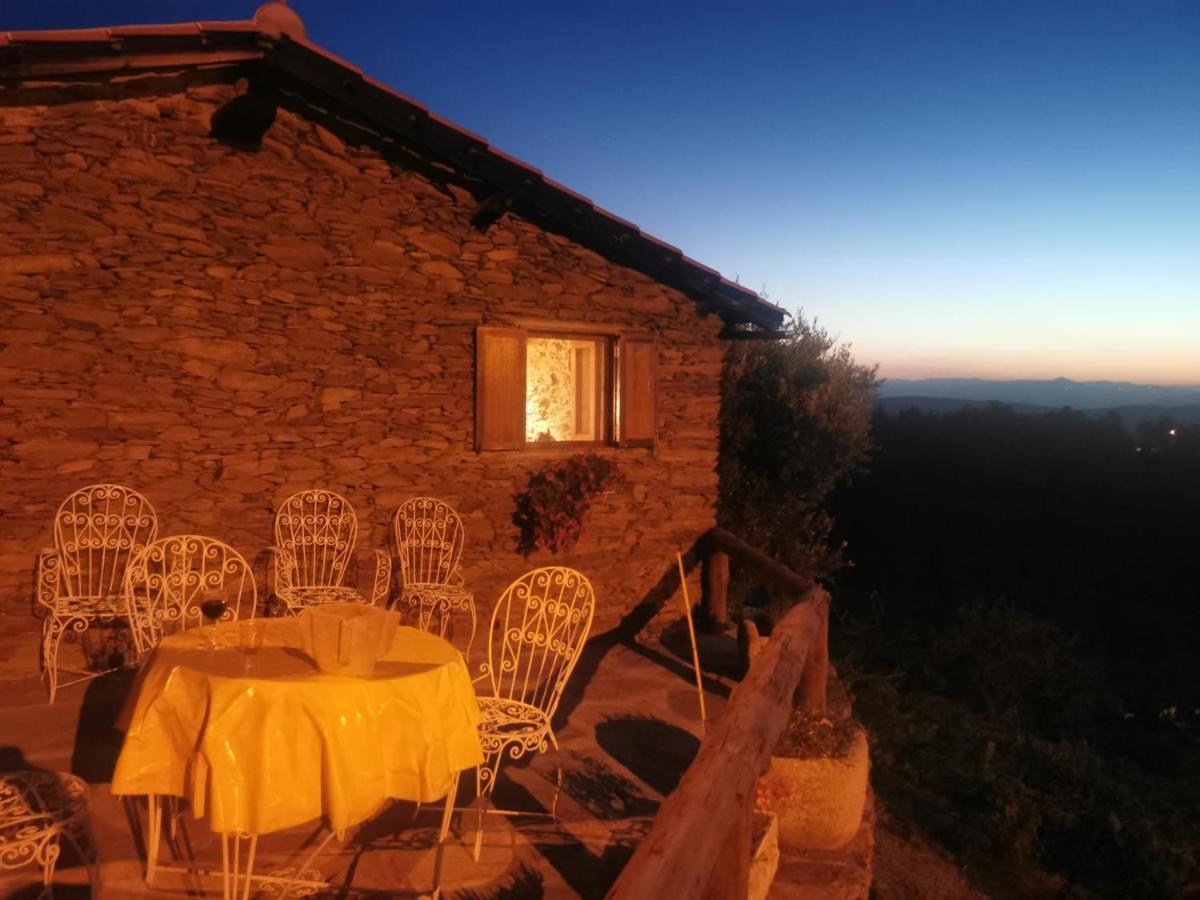 Casa Da Vinha Em Tabuaco - Douro Villa Luaran gambar