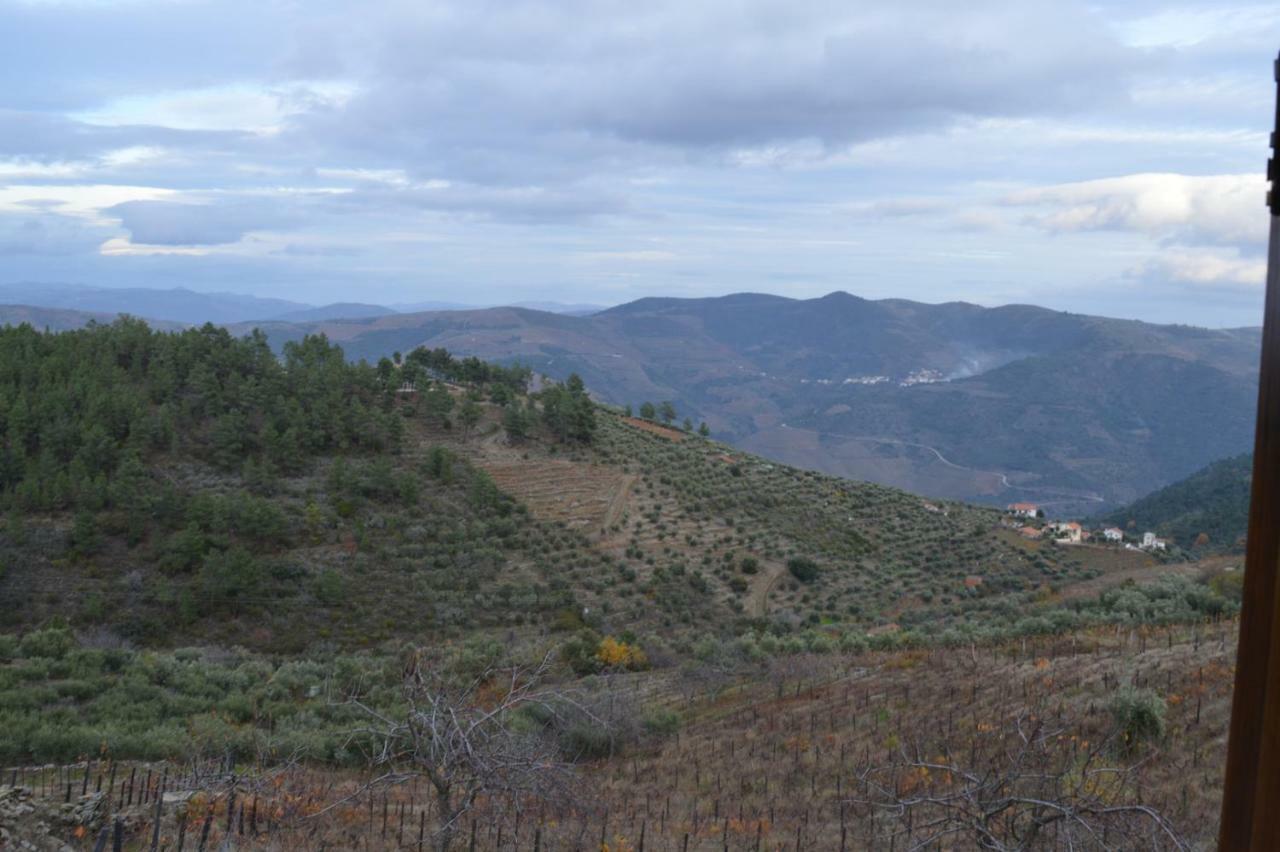 Casa Da Vinha Em Tabuaco - Douro Villa Luaran gambar